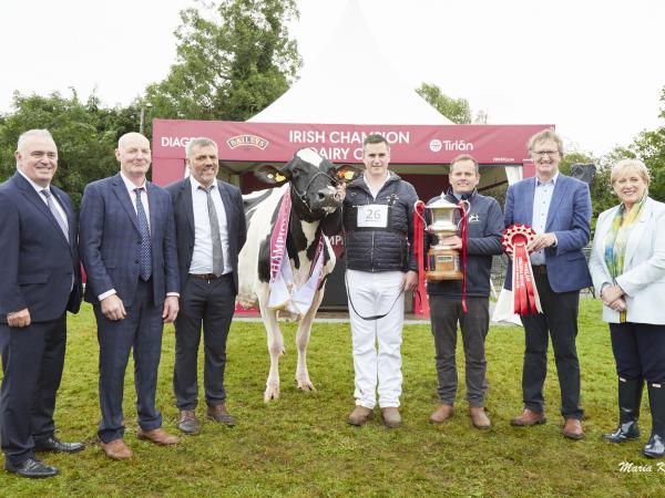 Baileys Cow event image