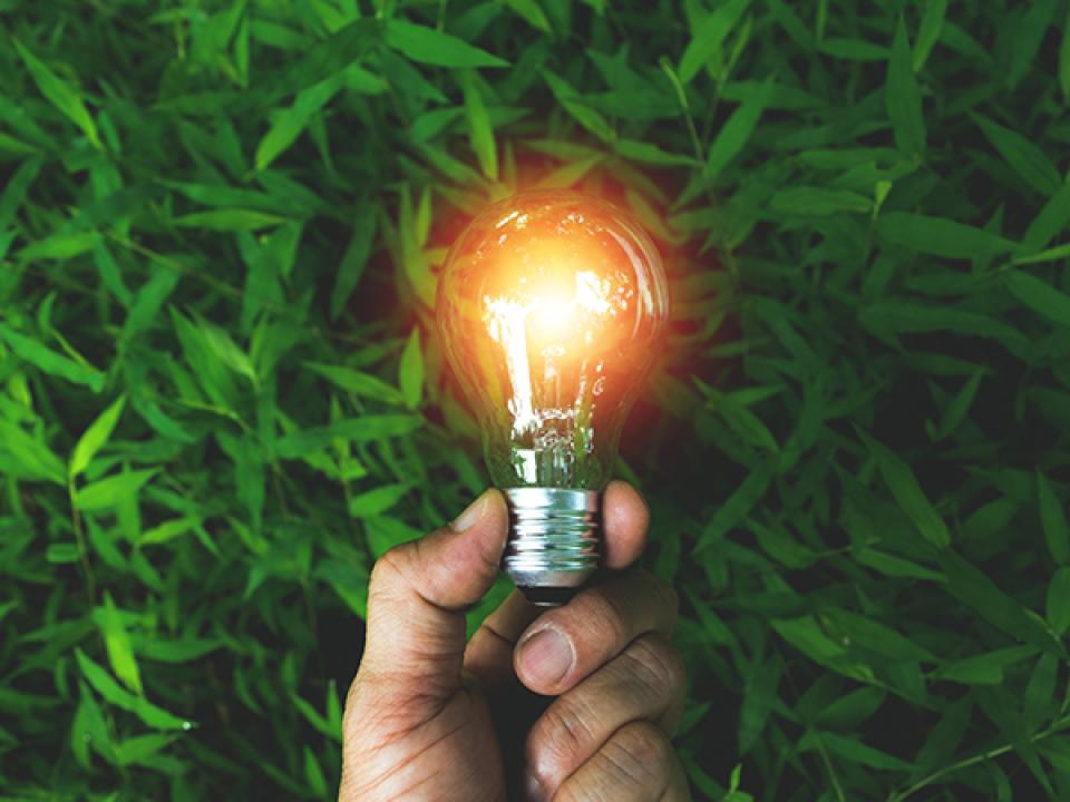 image of a farmer holding a lightbulb